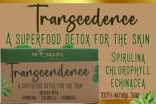 *PRE-ORDER* Transcendence: A Superfood Detox for the Skin